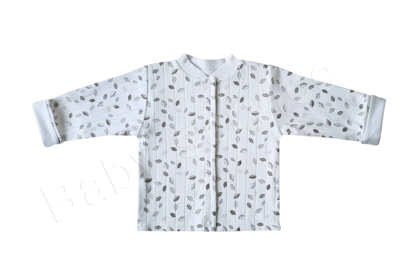 190-3004-17587870124407.png